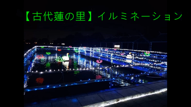 【古代蓮の里】イルミネーション