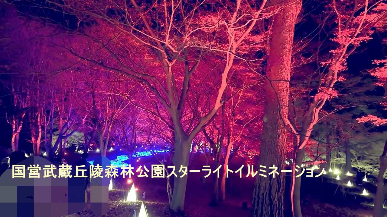 国営武蔵丘陵森林公園 * ｽﾀｰﾗｲﾄｲﾙﾐﾈｰｼｮﾝ