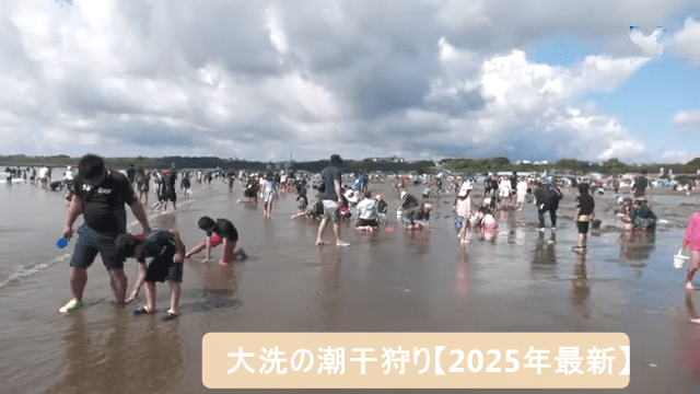 大洗の潮干狩り【2025年最新】