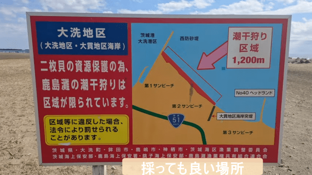 大洗の潮干狩り【2025年最新】