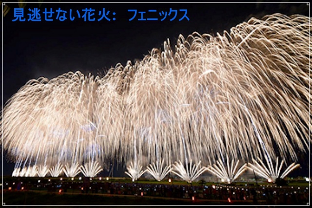 2025年の長岡まつり大花火大会