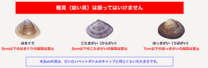 大洗の潮干狩り【2025年最新