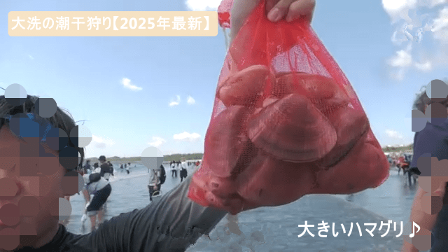 大洗の潮干狩り【2025年最新】