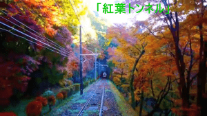 高尾山紅葉祭り2025