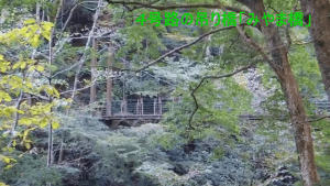 高尾山紅葉祭り2025