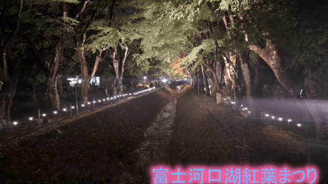 「富士河口湖紅葉まつり」。