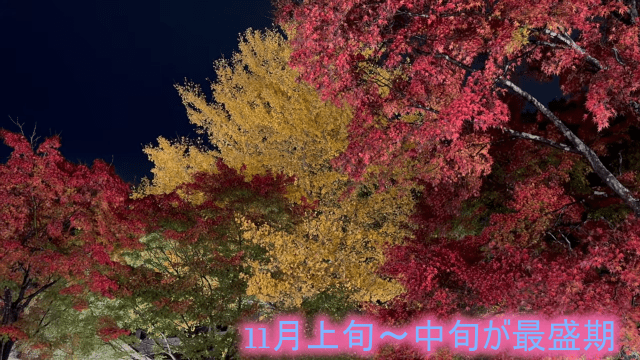 富士河口湖紅葉まつり2025