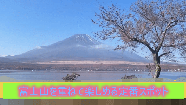 2025年の「富士河口湖紅葉まつり」