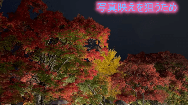 2025年の「富士河口湖紅葉まつり」