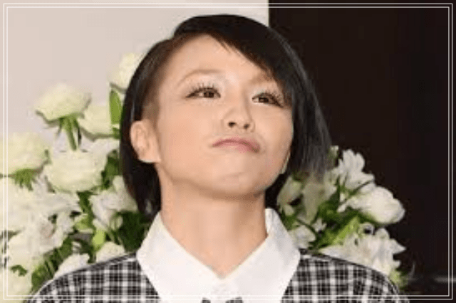 misono、時期衆議院選挙へ「出馬」