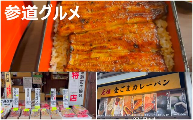 【千葉 成田山 新勝寺】