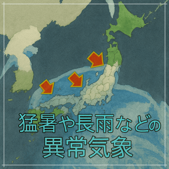 米価格の見とうし