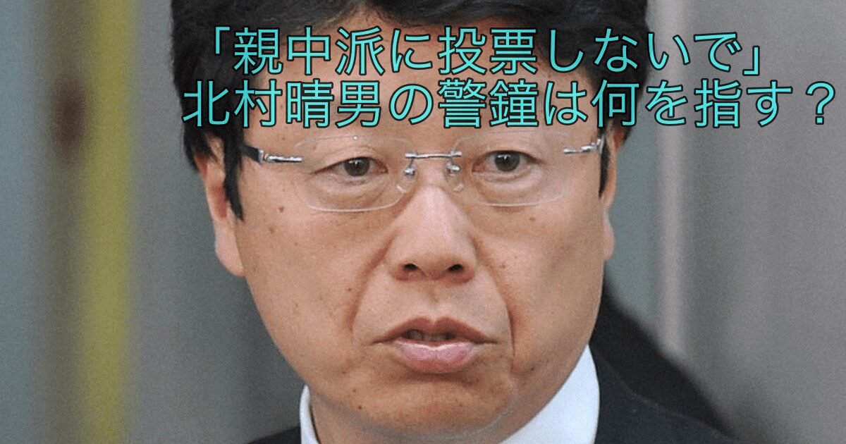 「親中派に投票しないで」