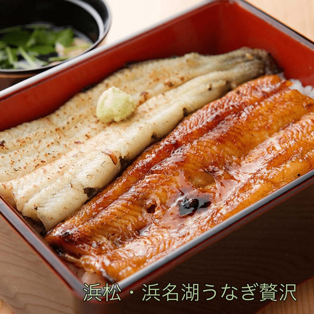 浜松まつり2026完全ガイド！